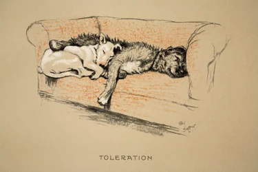 Toleranz, 1930, 1. Ausgabe von „Sleeping Partners“, Aldin, Cecil Charles Windsor (1870-1935), veröffentlicht von Eyre and Spottiswoode Limited